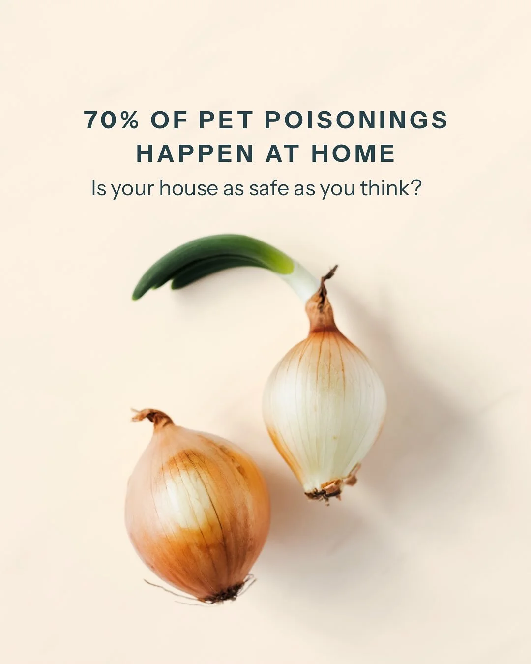 For Animal Poison Prevention Week, we&rsquo;re highlighting a sobering reality: 70% of pet poisonings happen right inside the home.

Whether it&rsquo;s a stray grape on the counter, a dropped ibuprofen, or even a piece of chocolate... accidents can h