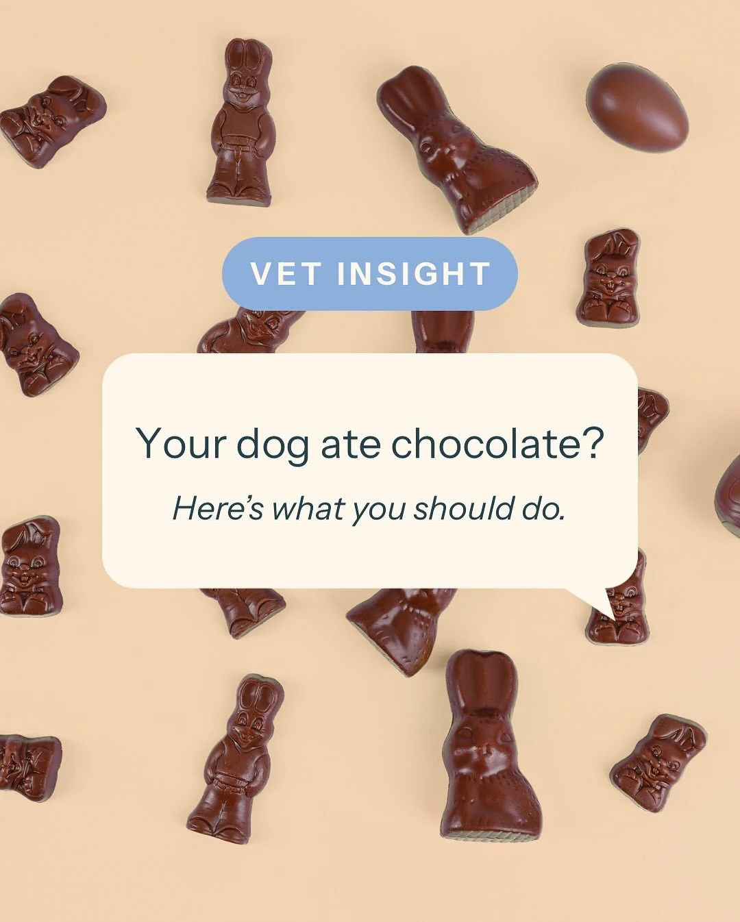 🍫 &ldquo;My dog just ate chocolate... now what?&rdquo;

It&rsquo;s no surprise, Easter is the busiest time of year for chocolate toxicity.

In the clinic, vets don&rsquo;t guess... they calculate. Chocolate toxicity calculators help us determine the