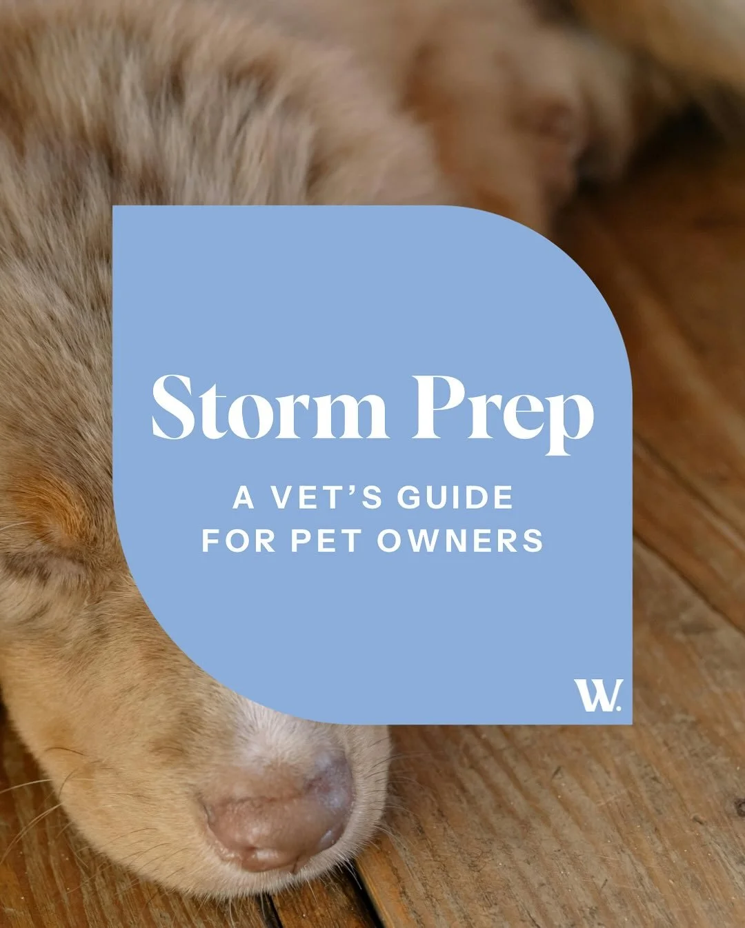 ​​Severe weather is on the forecast. ⛈️

Preparation is the best way to keep our pets safe and calm when conditions take a turn. We&rsquo;ve put together this essential checklist to help you get your pet&rsquo;s supplies and space ready before the st
