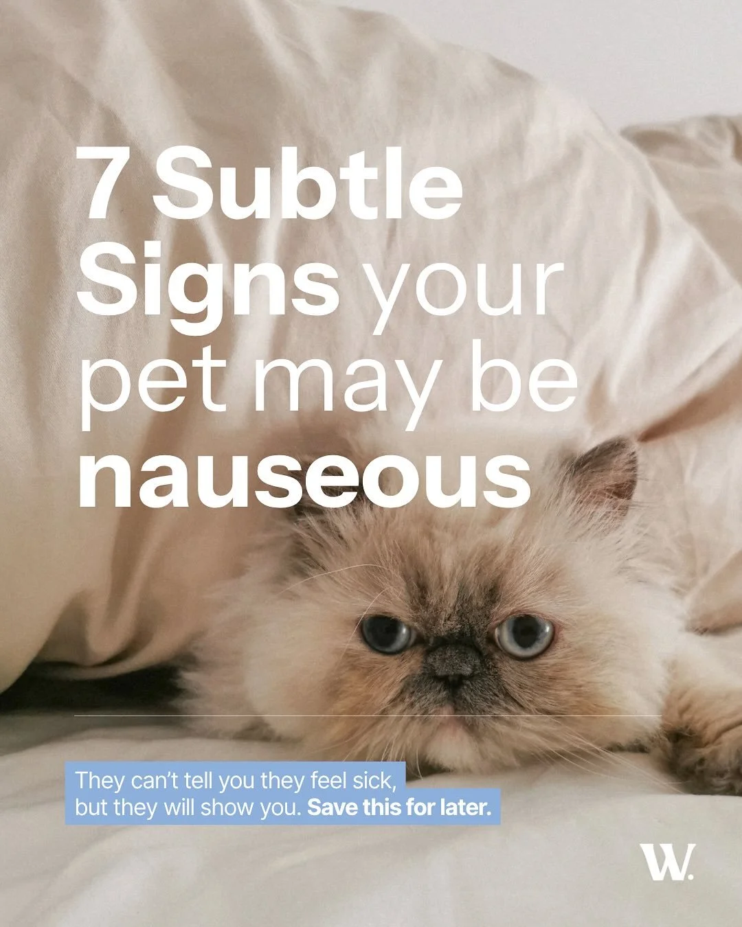 Most pet owners don&rsquo;t recognise nausea until it progresses to vomiting or food refusal.

But in many cases, the signs start much earlier, and they&rsquo;re often subtle.

Small changes in behaviour, appetite, or body language can be your first 