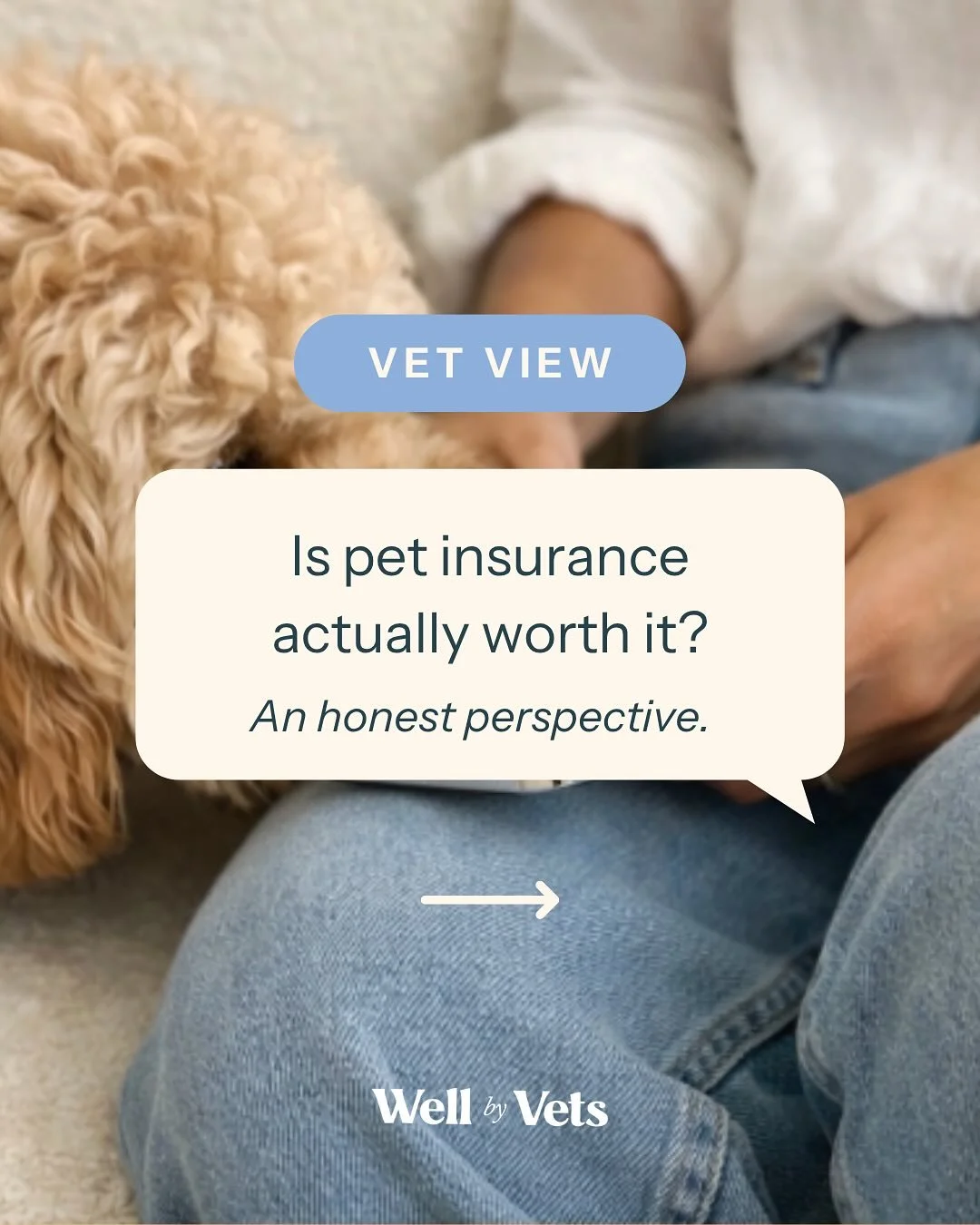 The financial side of pet care is something neither owners nor vets enjoy discussing, but it is a reality we face every day in the consult room.

Even as a vet, I have insurance for my pets so I never have to compromise. It allows me to stay focused 