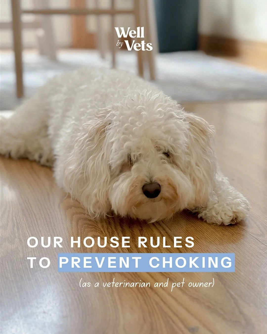 Choking is the split-second scenario we all hope never happens on our watch.

While we can&rsquo;t control every unexpected moment, we can control the environment we build at home. Often, the best defense is simply changing a few innocent, daily habi