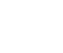 Logo for the business Ferns and Finds