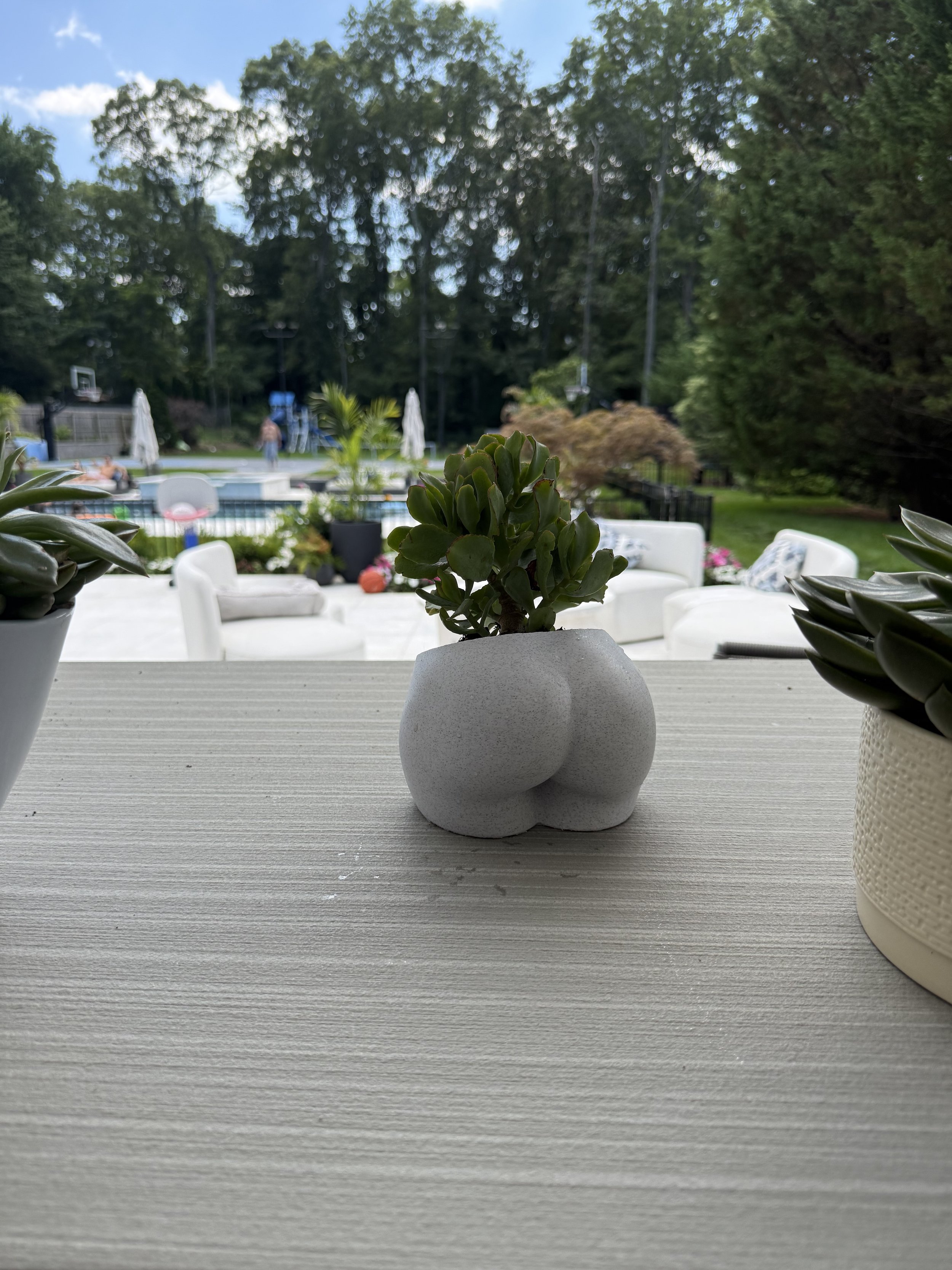butt planter .jpg