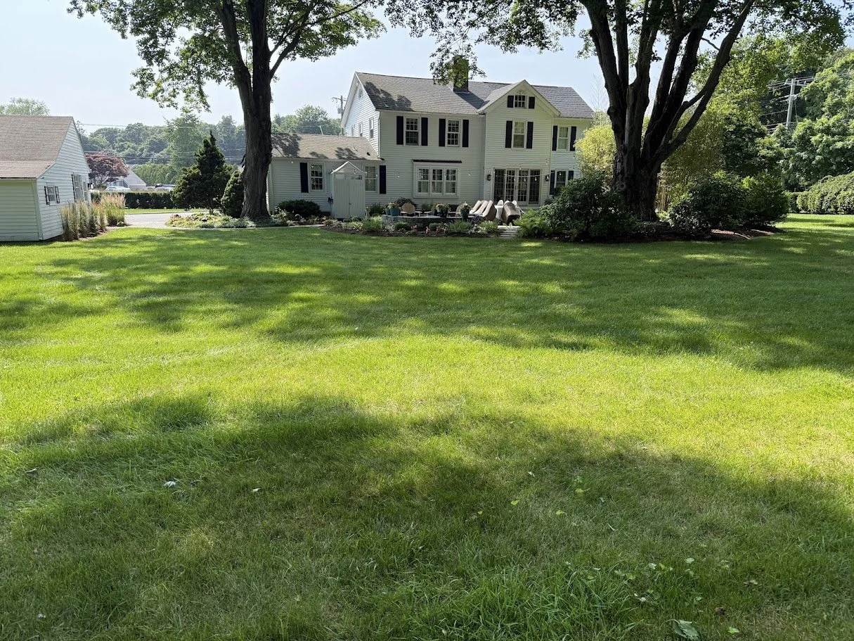 A large green lawn with trees and a white house with black shutters in the background, along with a small white shed on the left.