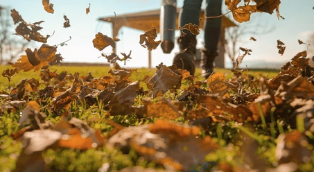 Fall Lawn Care Tips To Keep Your Grass Healthy Until Spring