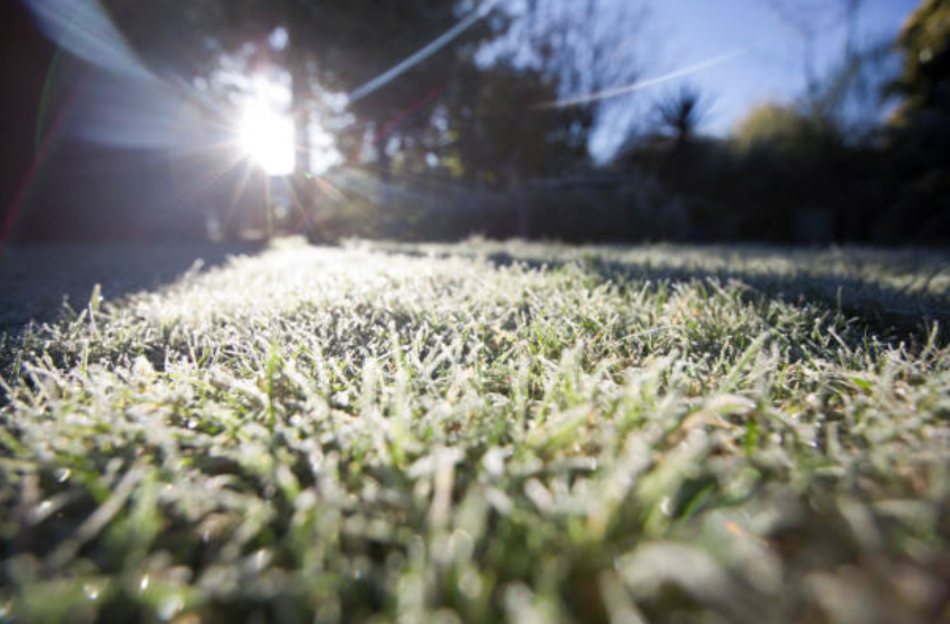 Key2Green January Edition: Things To Keep Busy &amp; What’s Going On At Key2Green