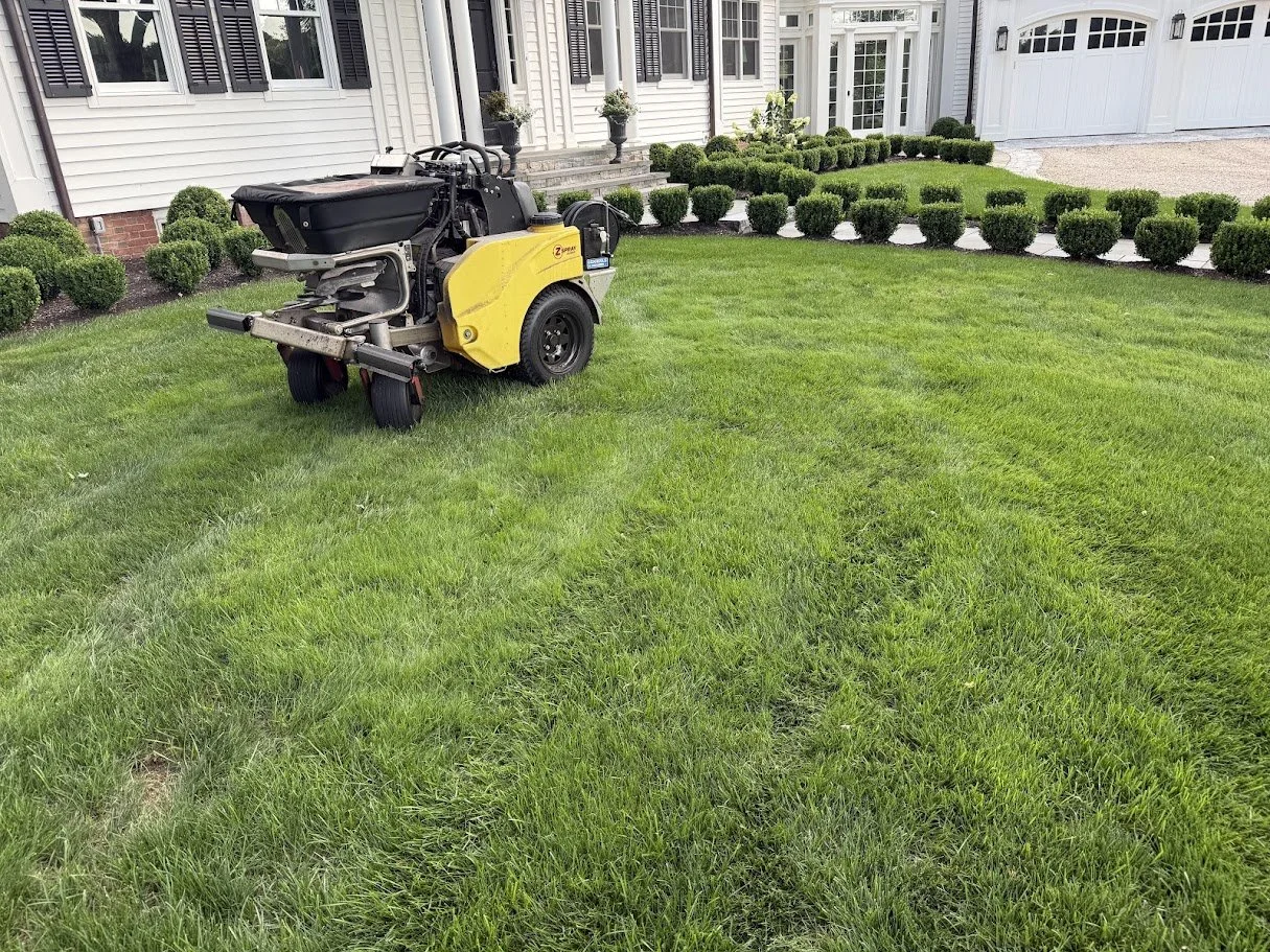 A yellow and black lawn fertilizer machine is parked on a green lawn in front of a house with white siding, windows with shutters, and a landscaped garden with shrubs and potted plants.