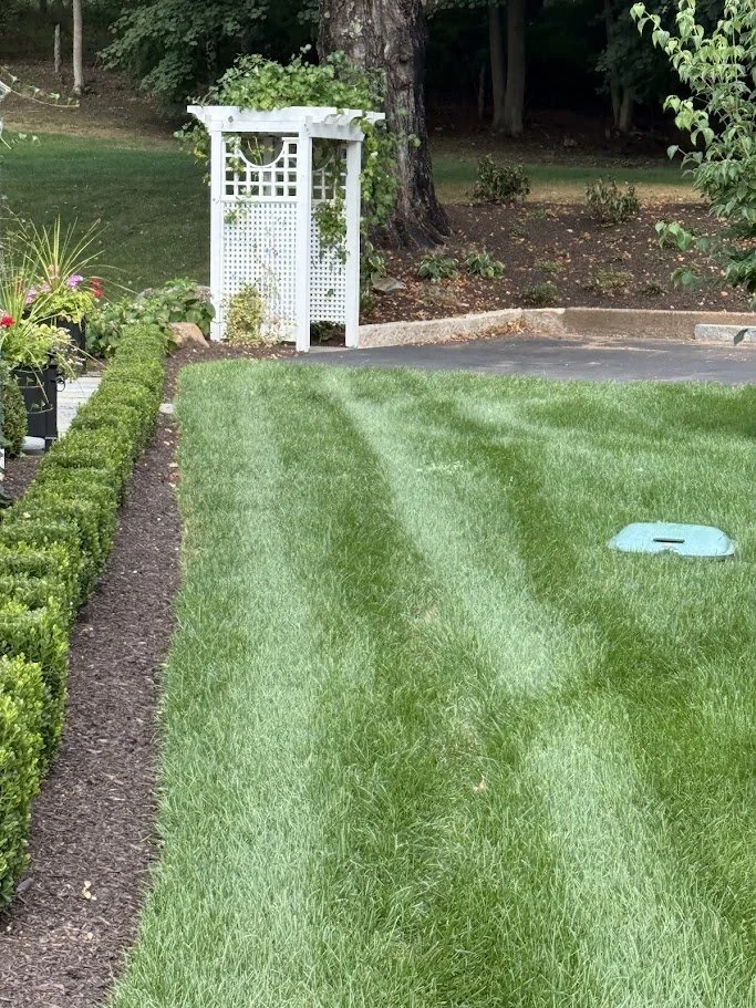 A well-maintained backyard with lush green grass, a flower bed with various plants and flowers on the left, a white decorative garden trellis in the background, and a patch of trees and shrubs at the back. There's also a blue watering can on the gras