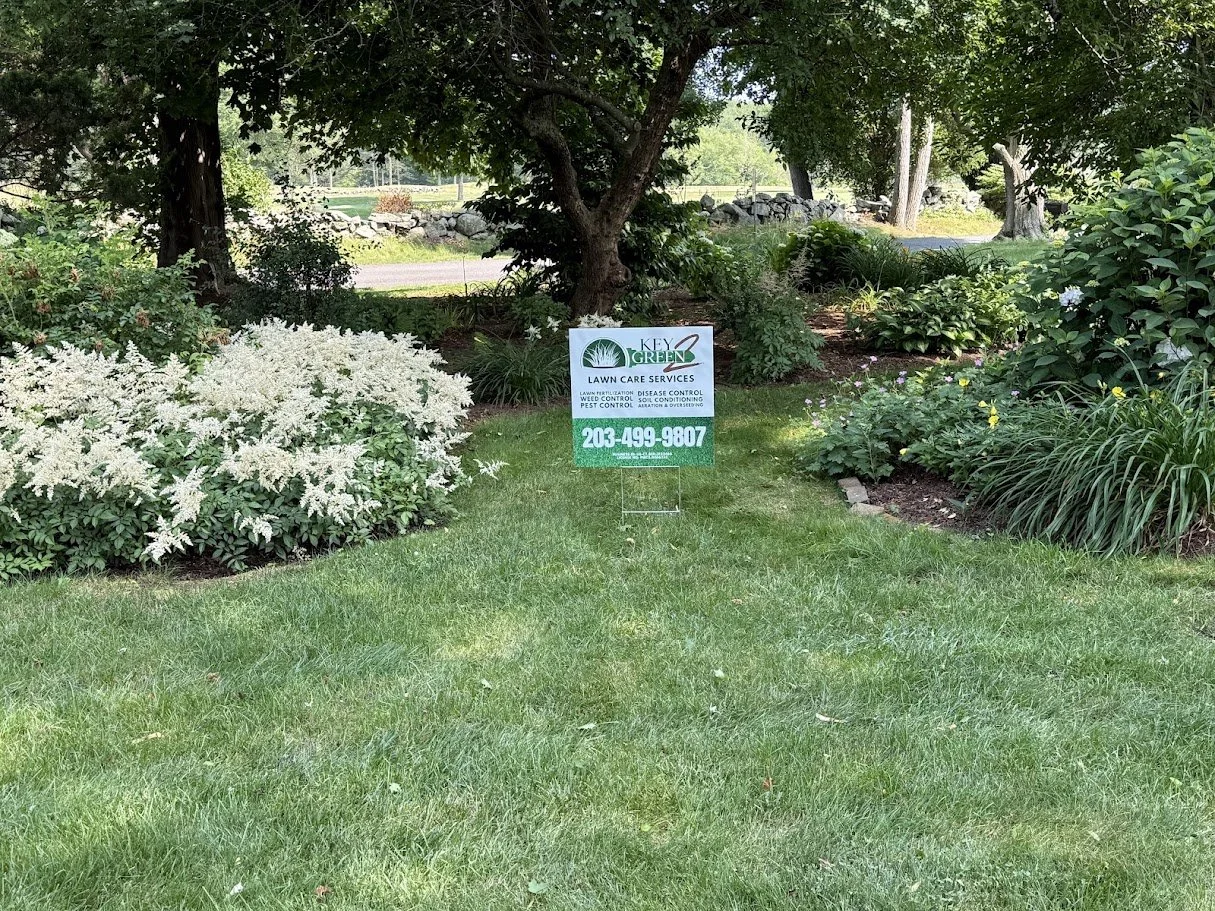 A yard with green grass, trees, and bushes, featuring a sign for Key Green Lawn Care Services.