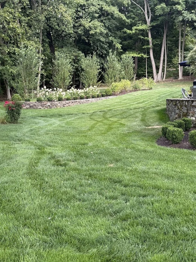 Lush green lawn with a curved stone retaining wall and flowerbed with trees and shrubs, wooded area in the background.