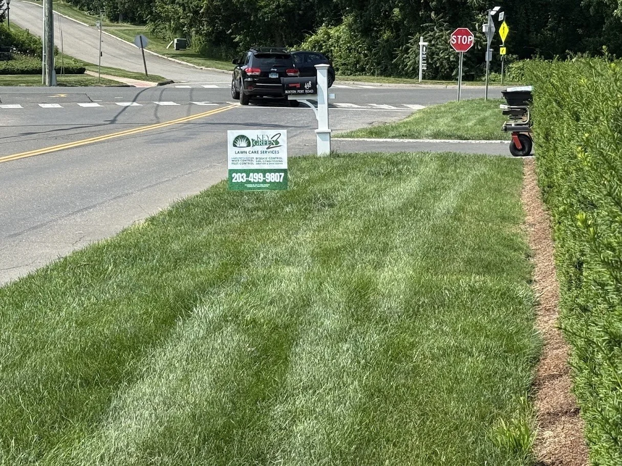 Green grassy lawn next to a sidewalk and a hedge, with a mailbox, a sign for lawn care services, a stop sign, and a car at an intersection.