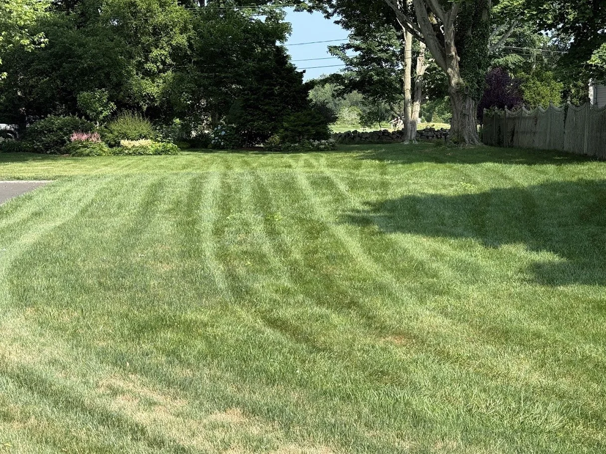A well-maintained grassy lawn with tire tracks, surrounded by trees and shrubs, with a wooden fence on the right and some power lines overhead.