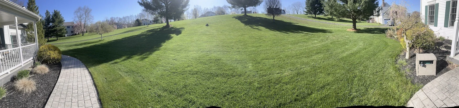 A backyard with a large green lawn, several trees, and a pathway along the house. The sky is clear and sunny, with some houses visible in the background.