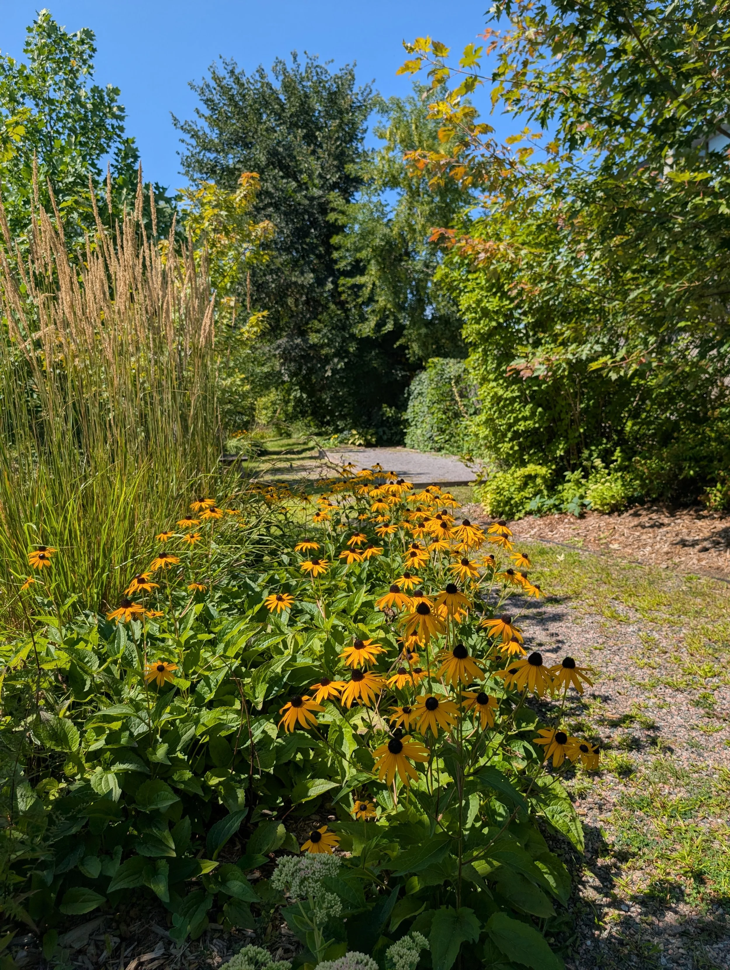 Peace park.jpg