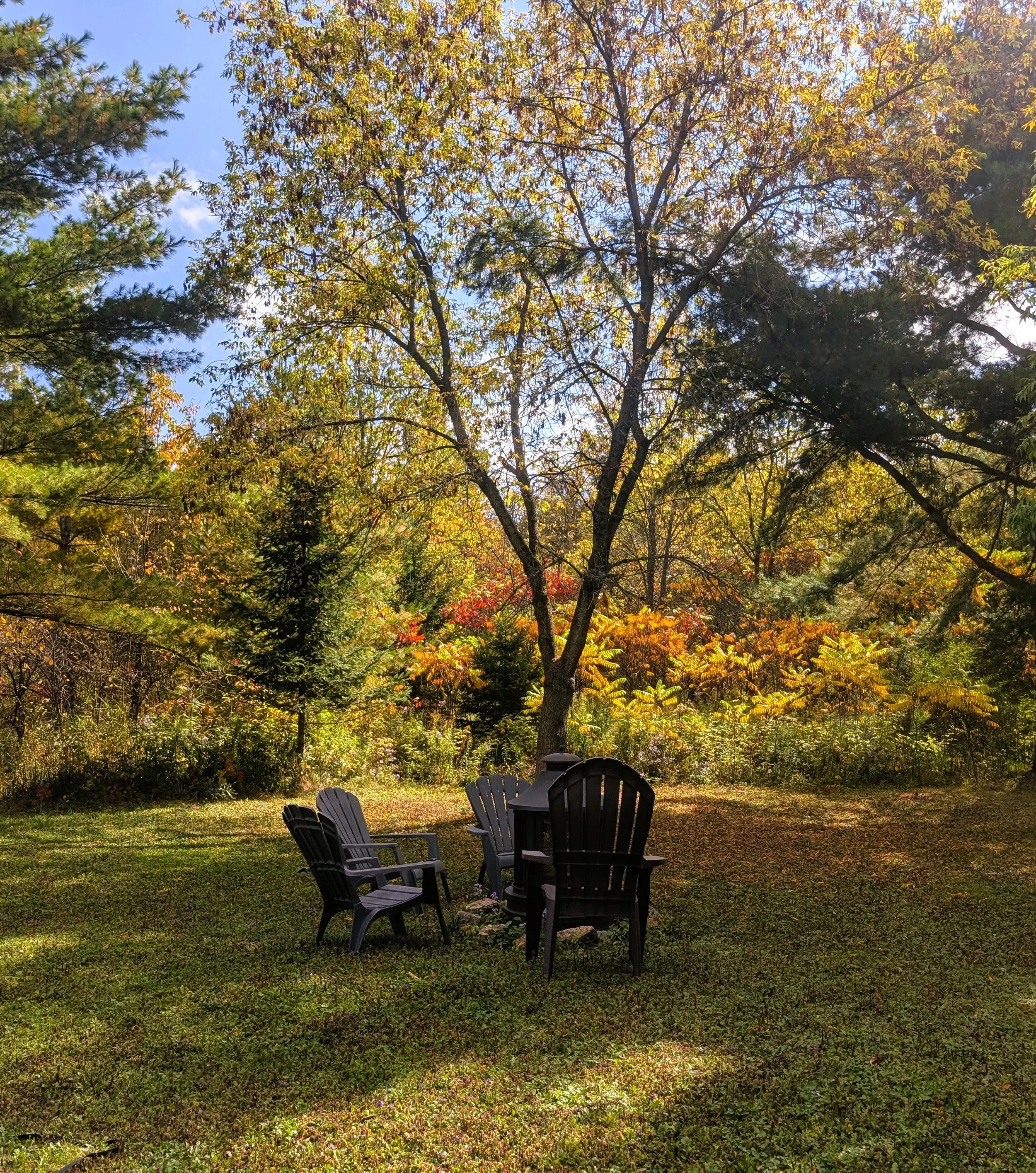 fall fire back2 .jpg