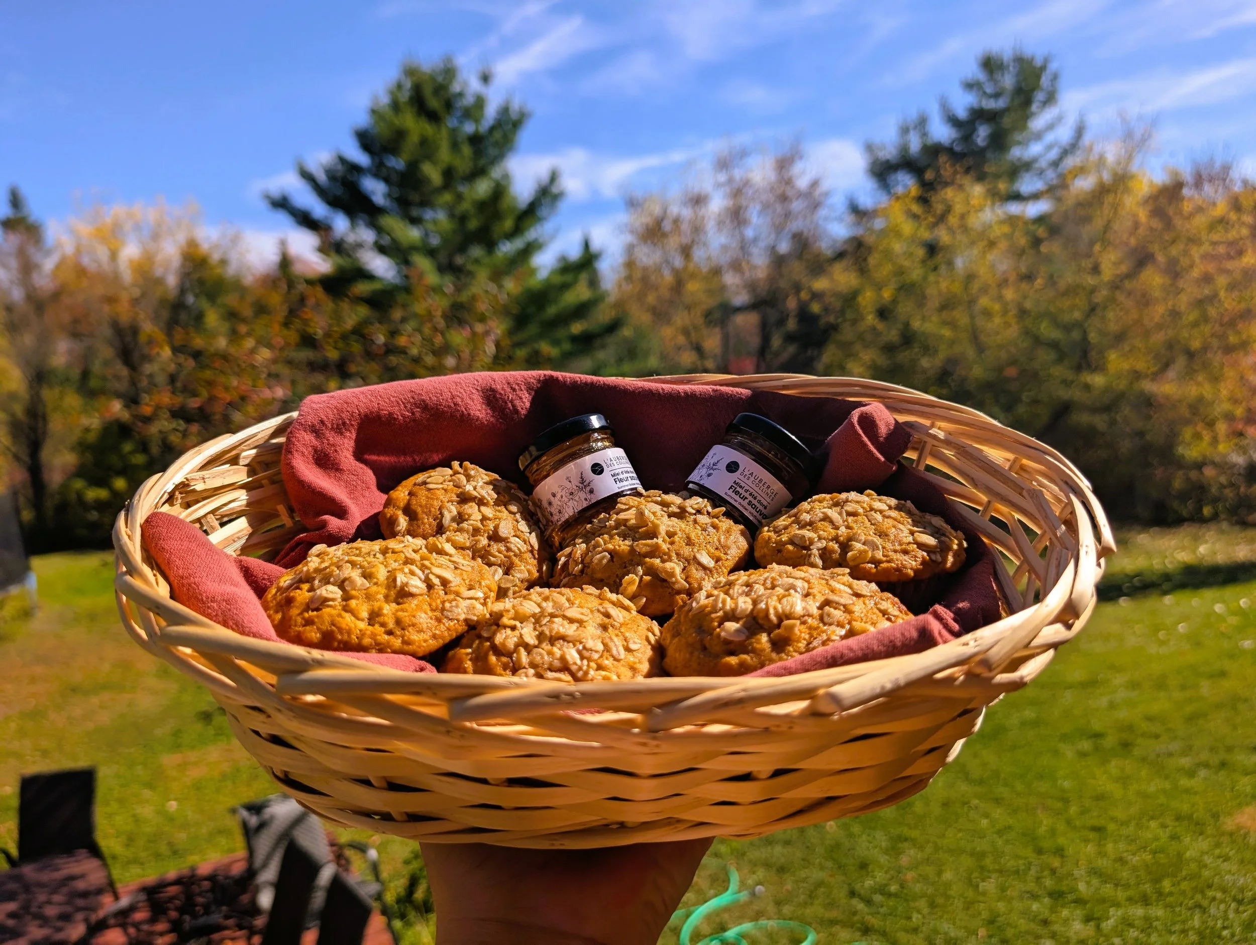 Fall muffins.jpg
