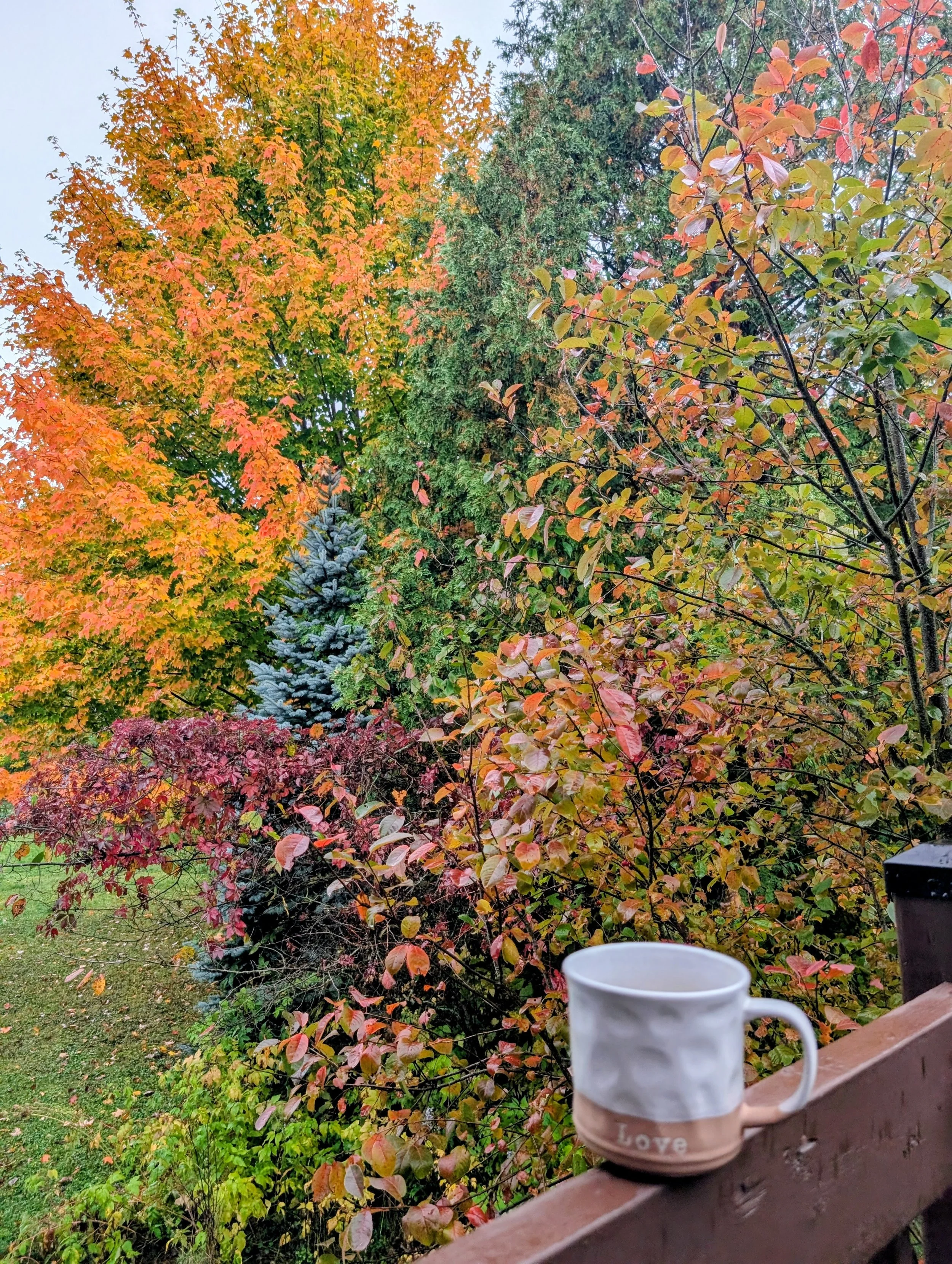 View from Cedar loft deck in the Fall
