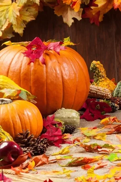 cornucopia-pumpkins-gords-leaf.webp