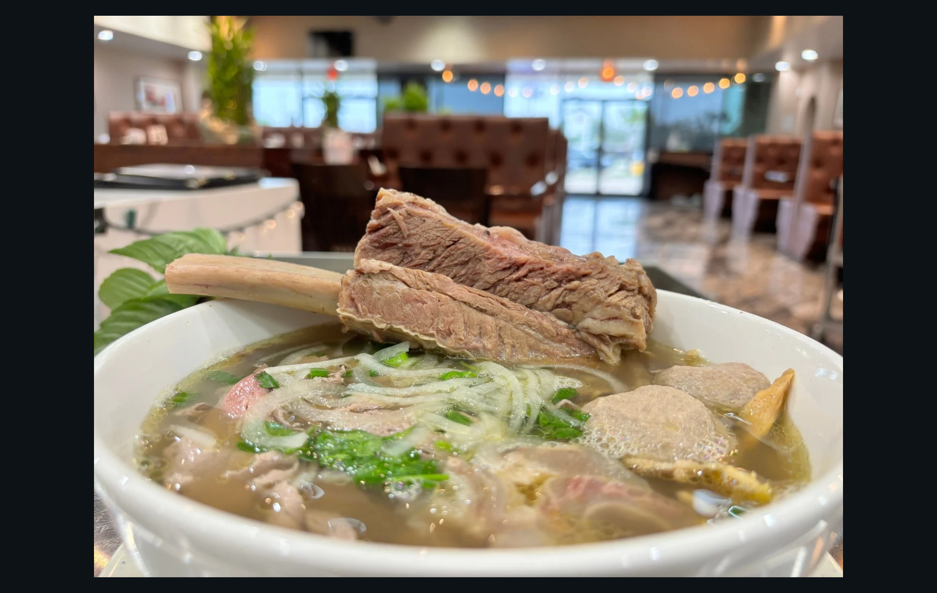 Food Pic 3.png