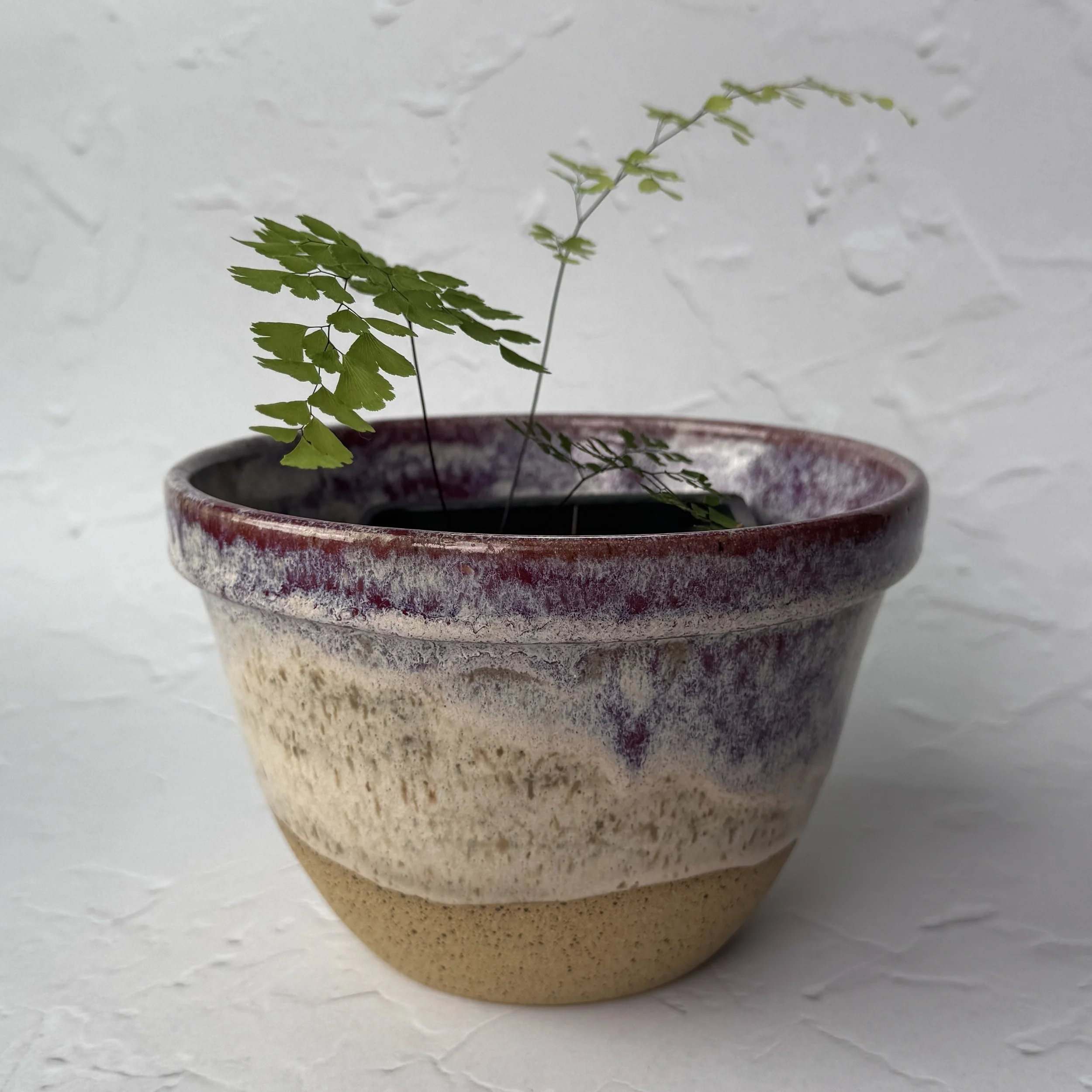 planter_purple-clouds_with-plant.jpg