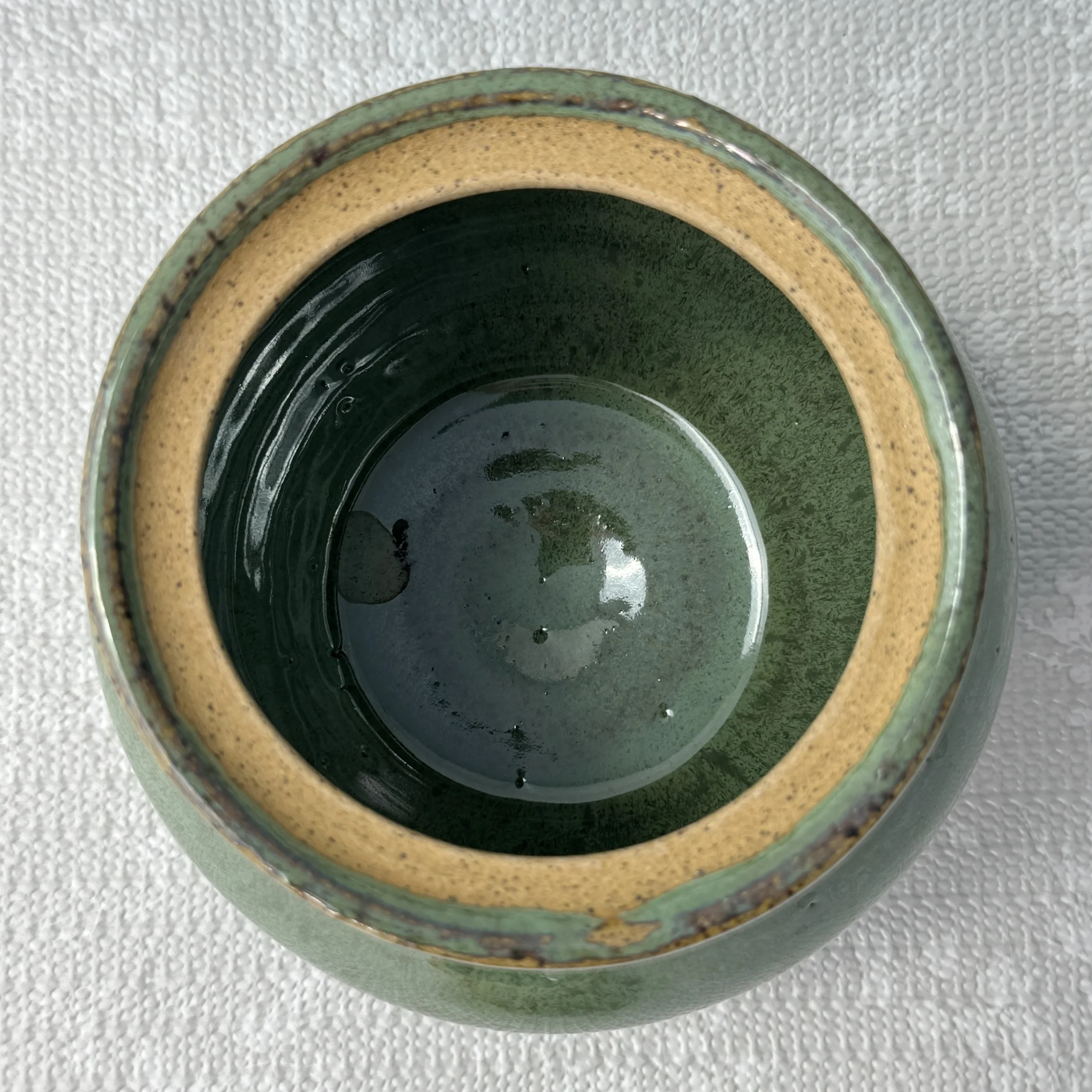 jar_moss_inside.jpg