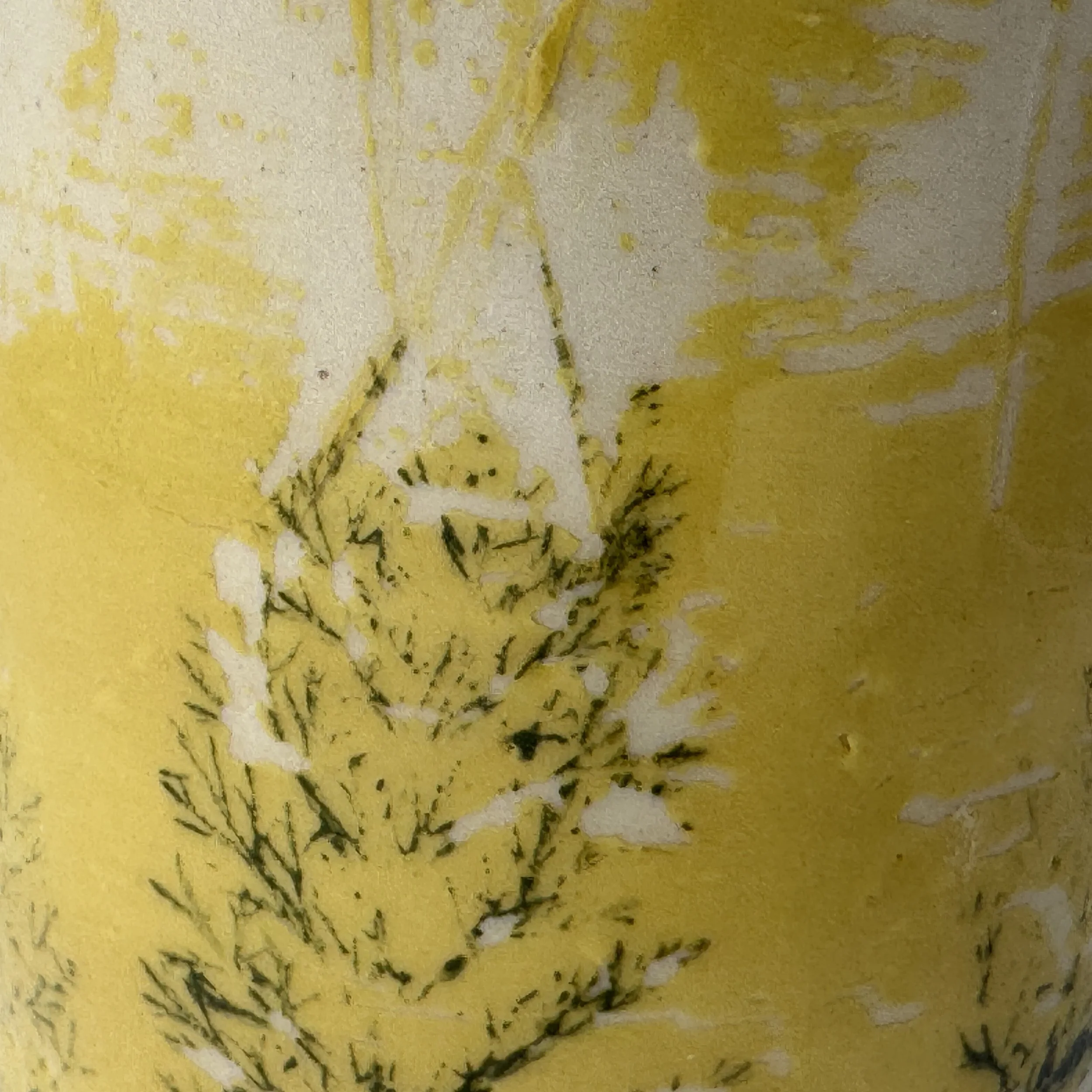 cup_yarrow-shadow_closeup.jpg