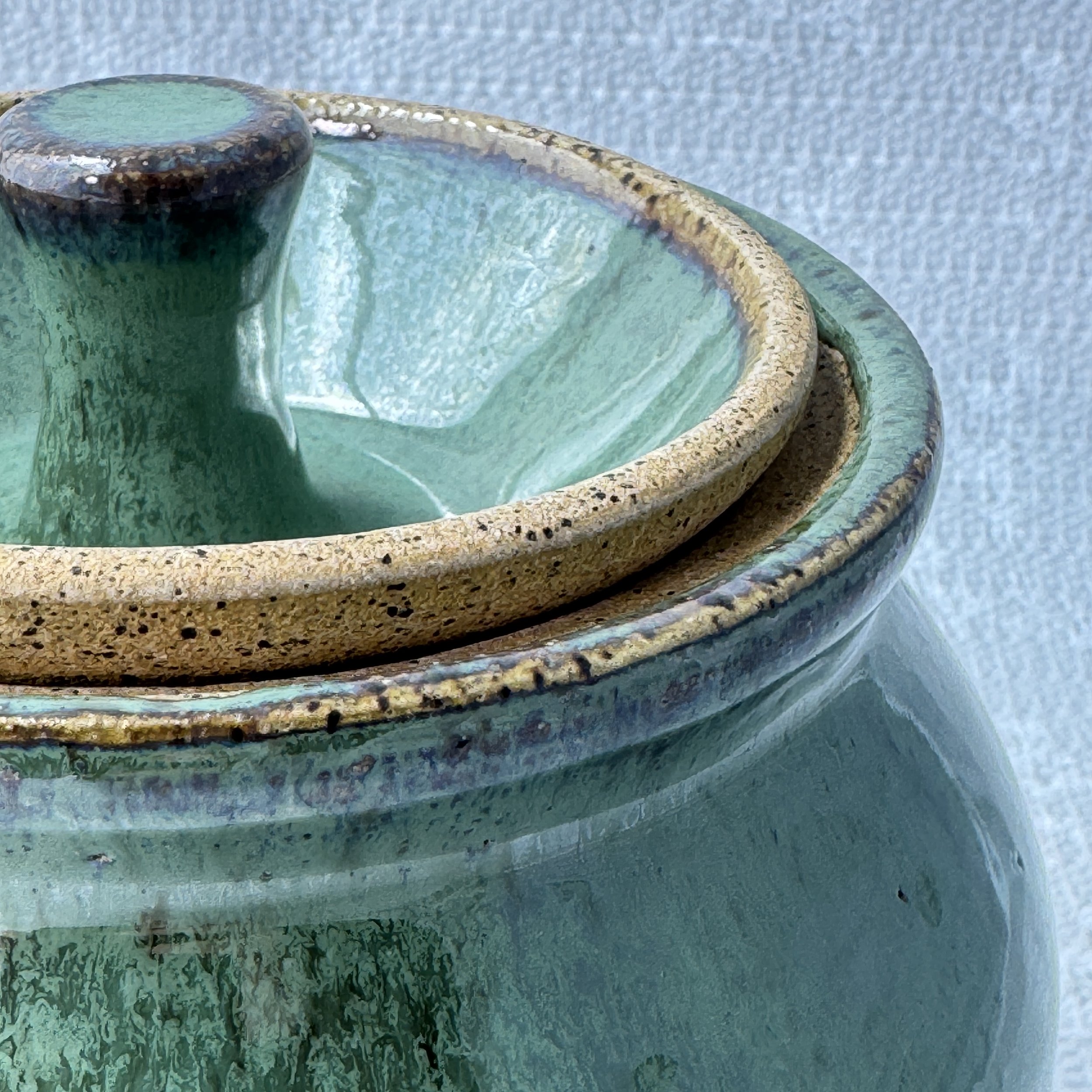 jar_moss_closeup.jpg