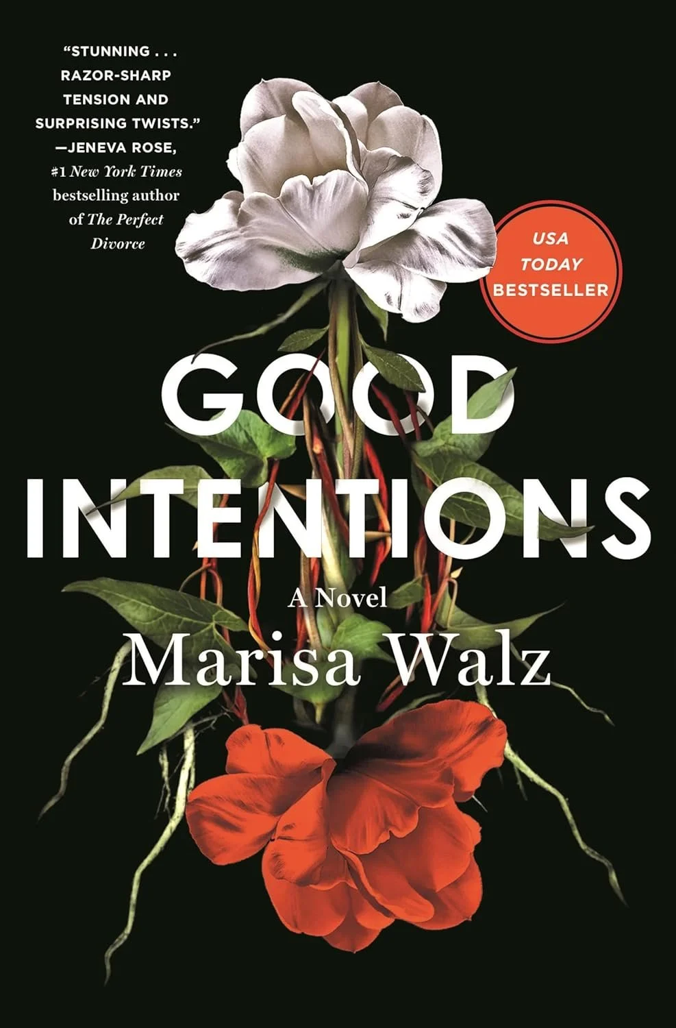April Pick - Good Intentions by Marisa Walz