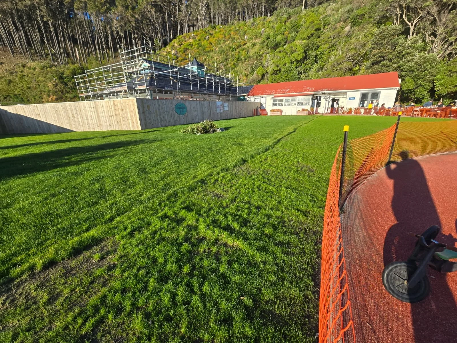 Green grassy field with a small plant, surrounded by a temporary orange safety fence, and a white building with a red roof in the background, on a sunny day.