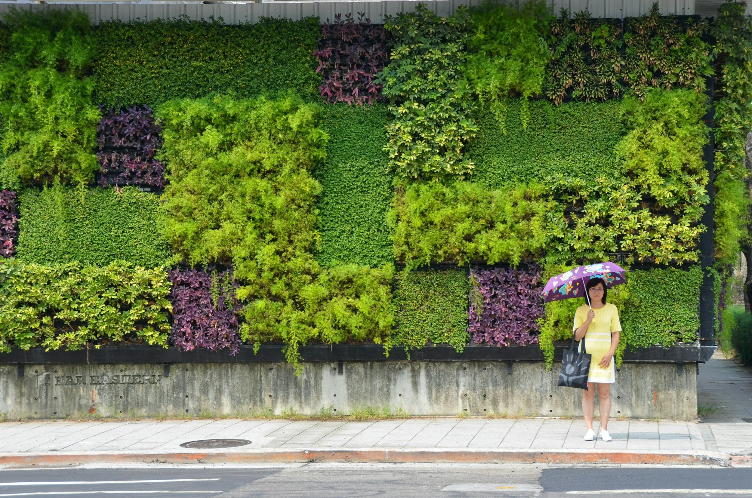 Why Every Unmarried Honolulu Woman Needs a "Plan B" (Even if You Only Own a Condo)