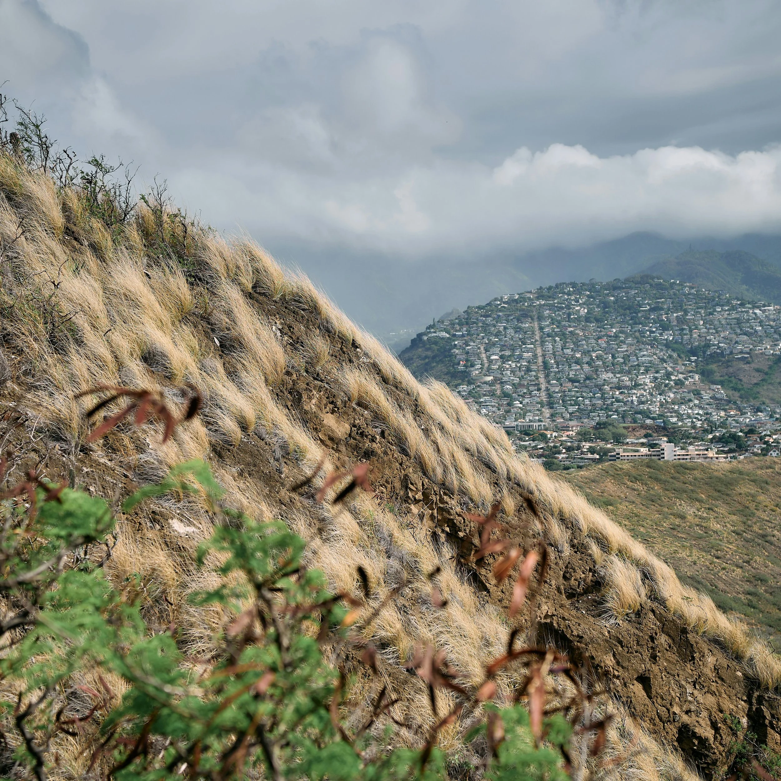My Spouse Died Without an Estate Plan. Can I Make My Own? A Guide for Hawaiʻi Widows