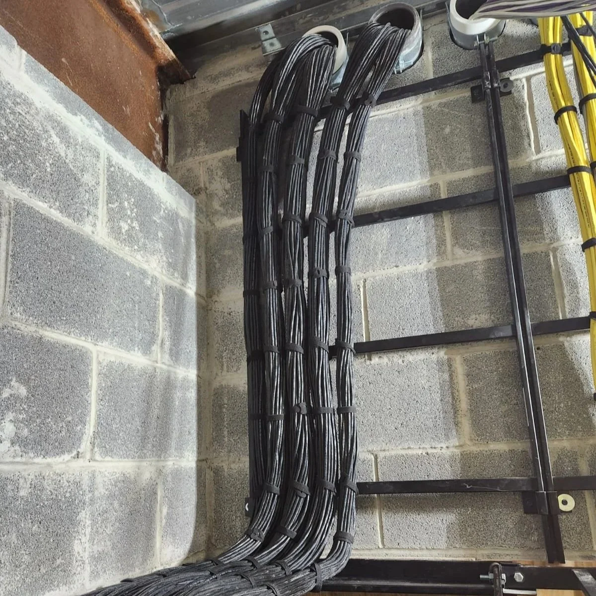 Electrical cables organized and secured to a metal framework against a concrete wall in an industrial setting.