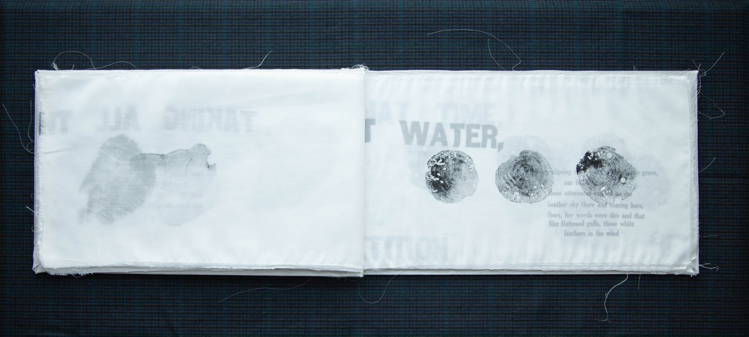 Makyla Curtis | a whole story in the eye of the sea Supreme Award Winner 2024