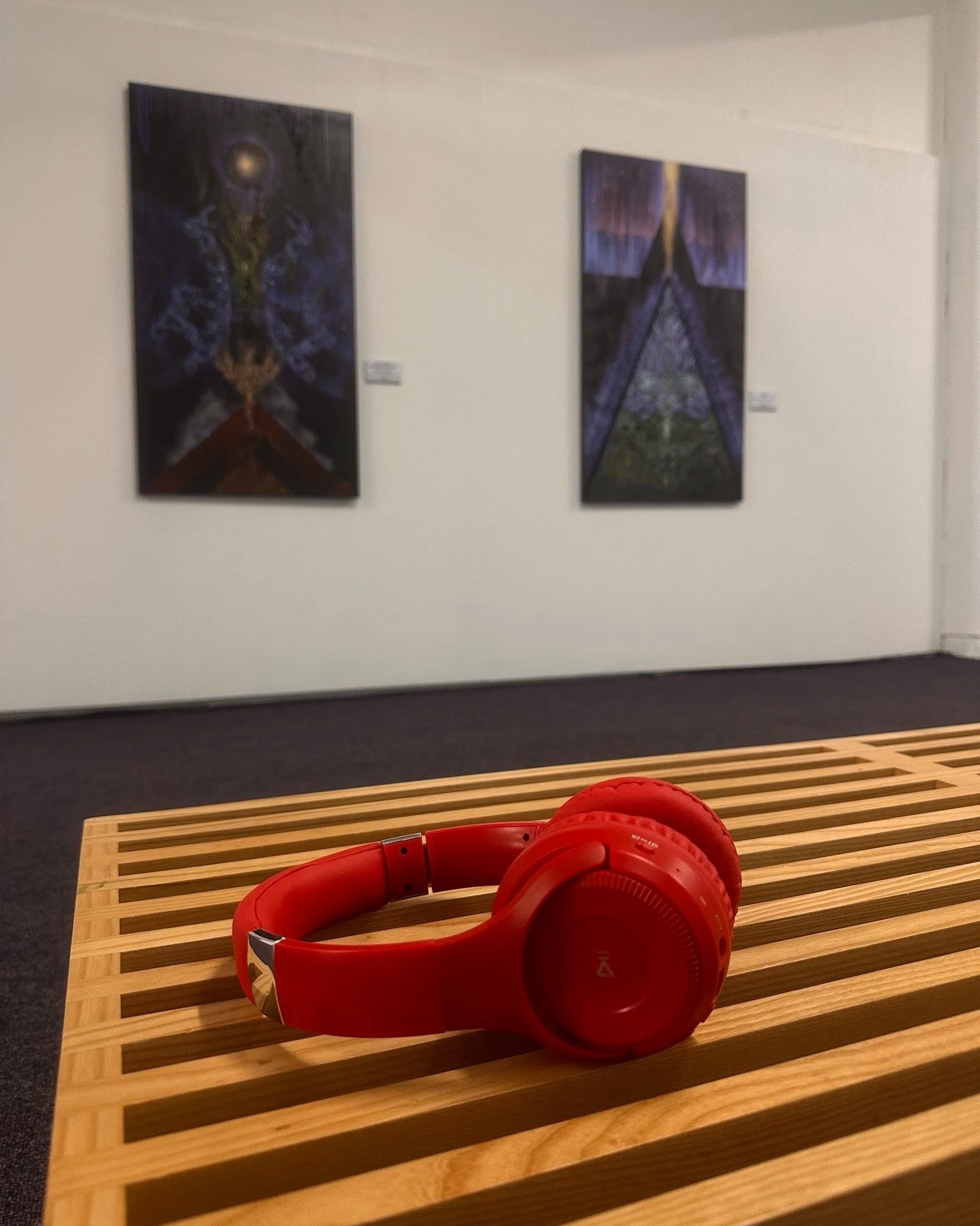 Have you tried our new audio tours? 🎧

As part of this work to expand our accessible offerings at Refinery Artspace, we are trialing new audio tours of our exhibitions.

Artist Robin Slow worked with Gallery Manager, Janja Heathfield, to create an a