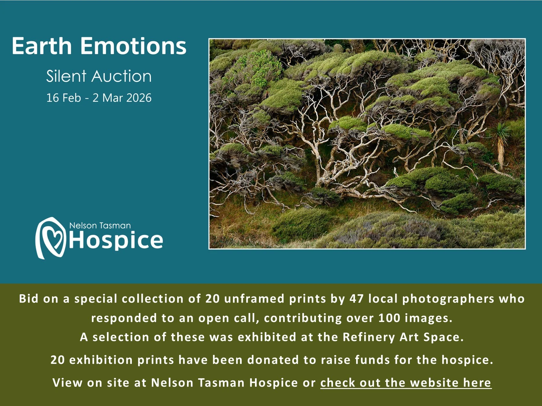 Earth Emotions - Silent Auction