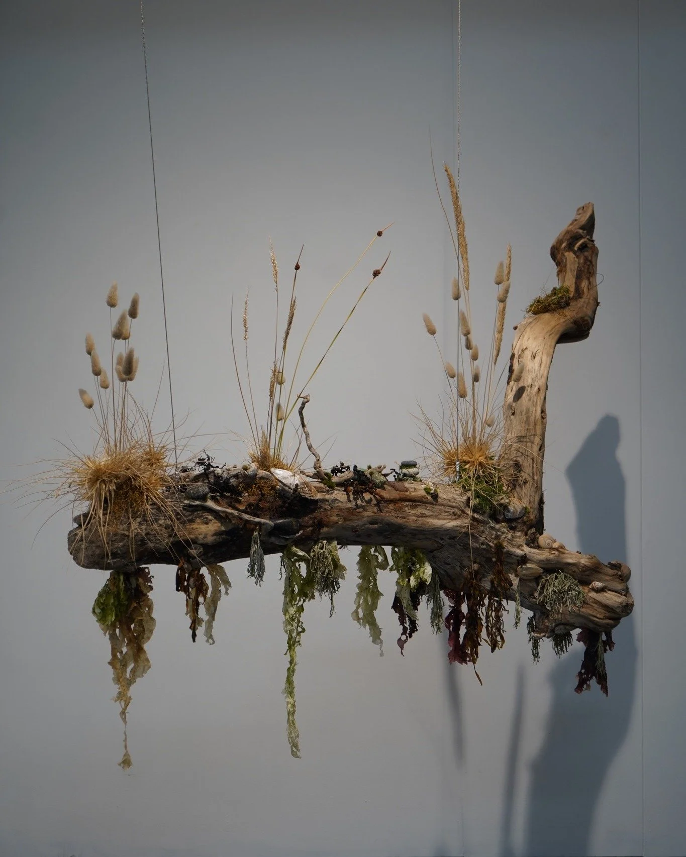 Ngā Pae Rua - The Two Horizons | Tania Smith

Ngā Pae Rua reflects the relationship between two horizons, what we see when on the whenua and the hidden beneath the moving currents of the moana. This is a threshold, a place where realms meet and influ