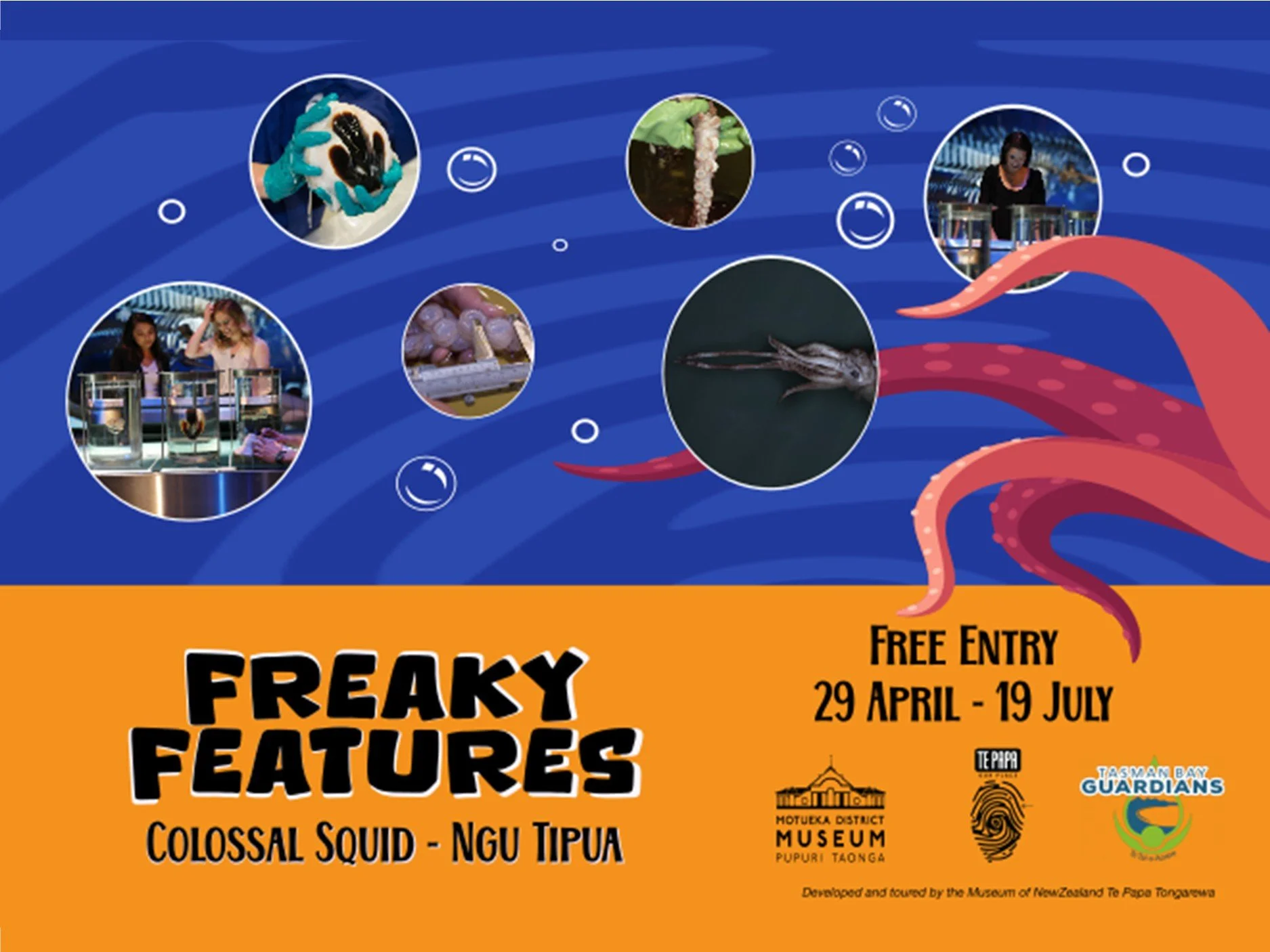Freaky Features