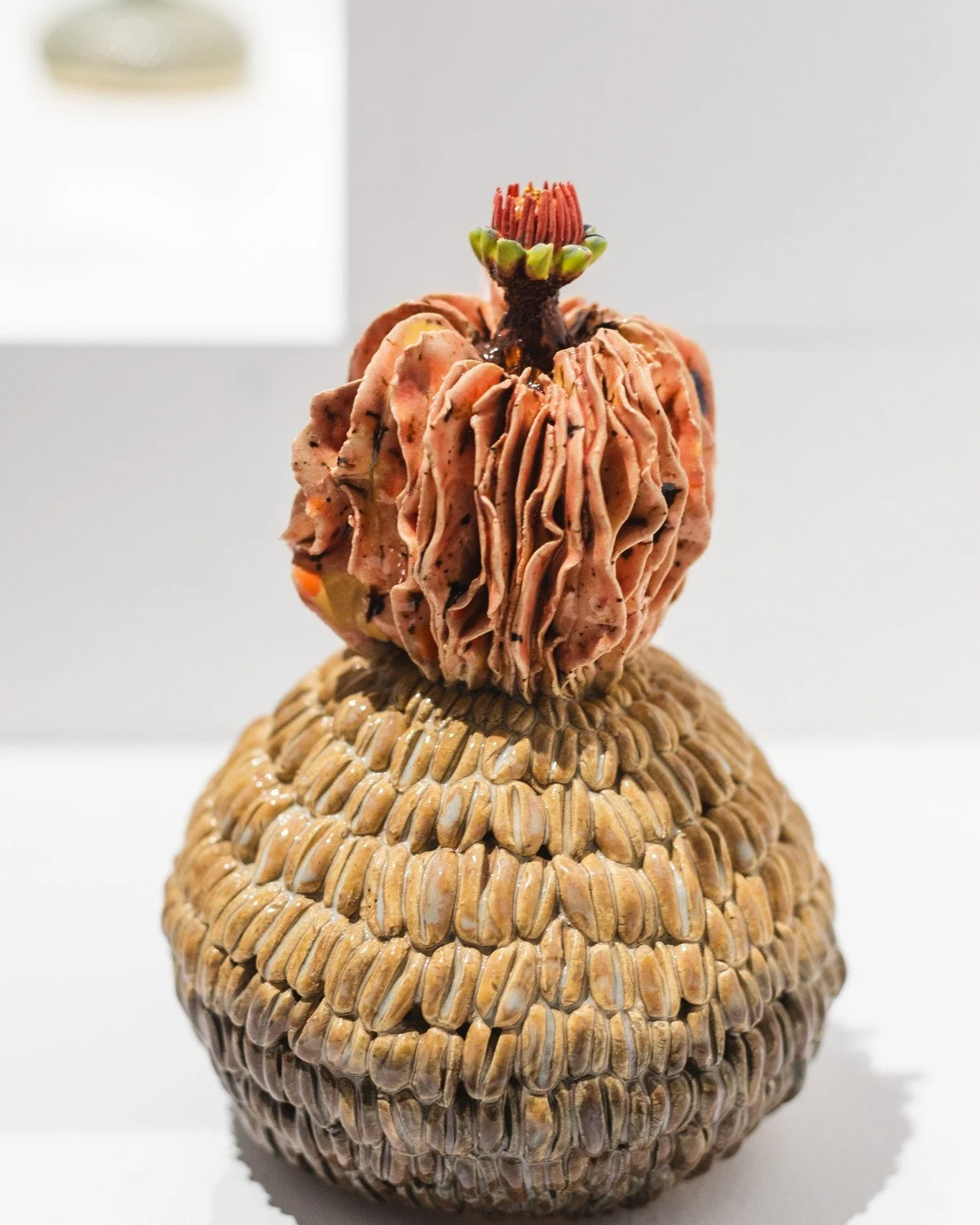 Madison Carroll | In Utero

Time for a treat...with this stunning debut exhibition by emerging Taranaki ceramicist, Madison Carroll. Her glazes and attention to detail are exquisite. 

@madisonpearlcarroll  #emergingtalent #exquisite #pottery 
#nelso