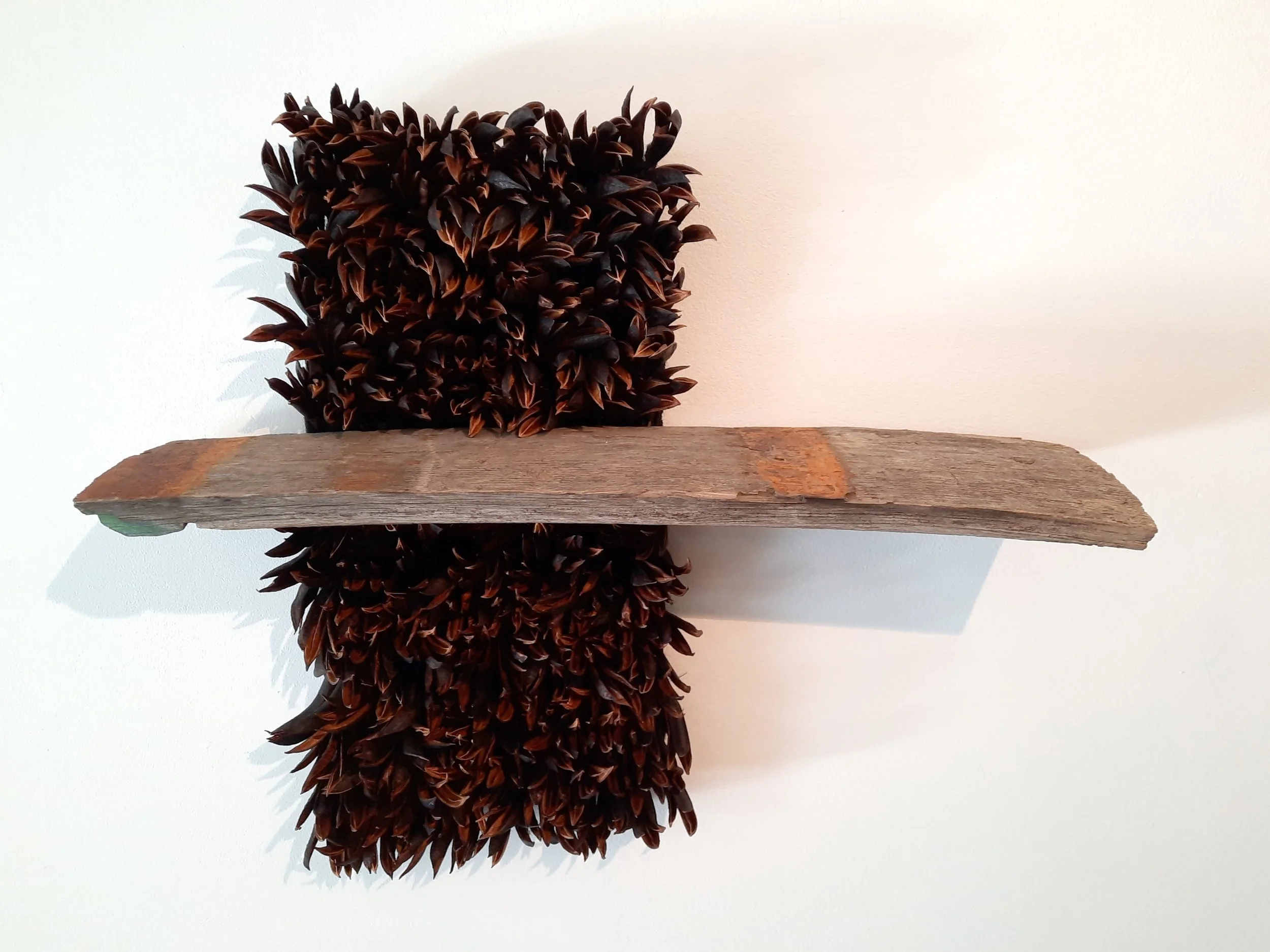 Michelle Mayn | Kuruwaka and Oak 
Finalist 2022