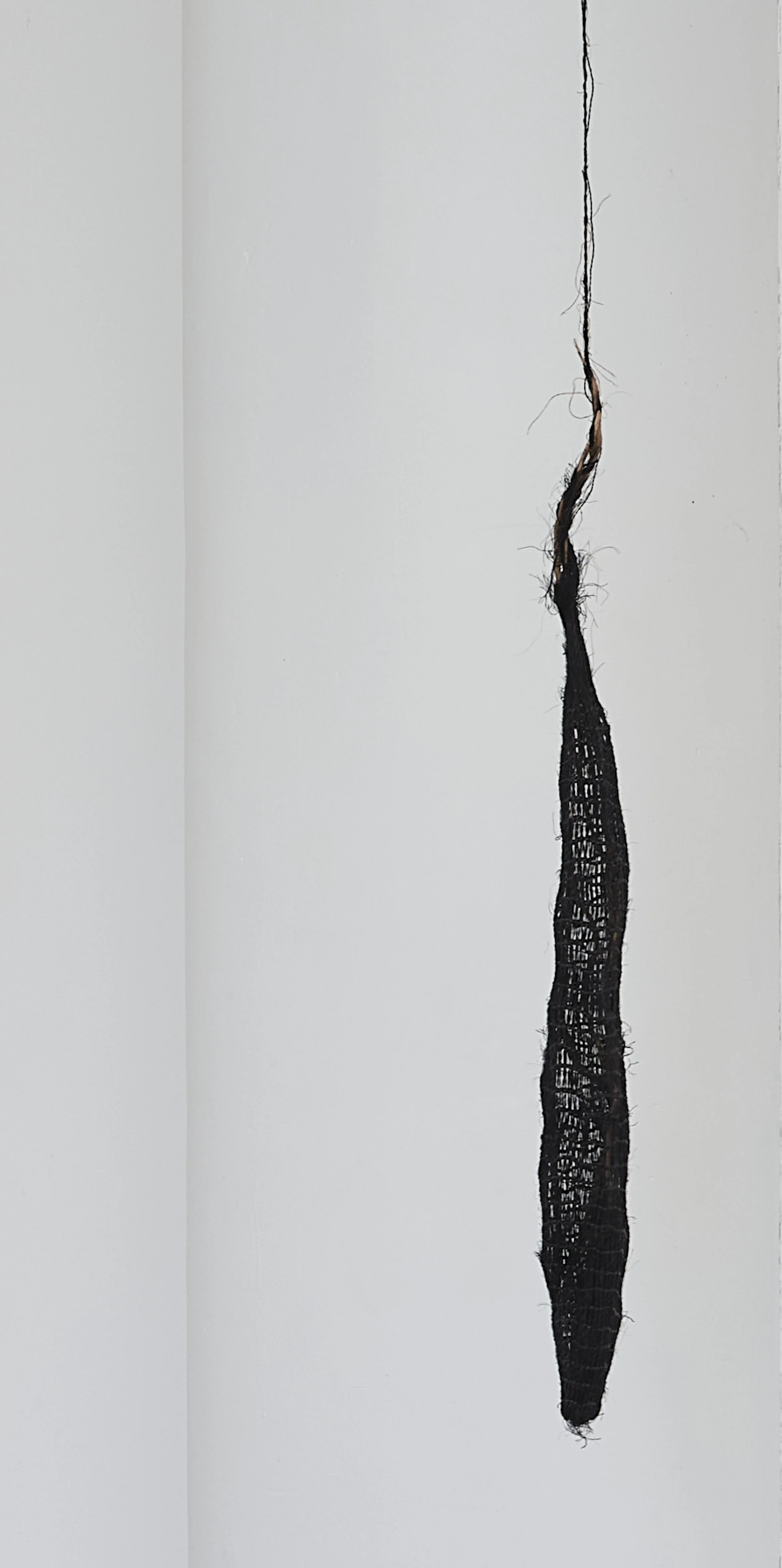 Michelle Mayn | Amorphous Finalist 2024