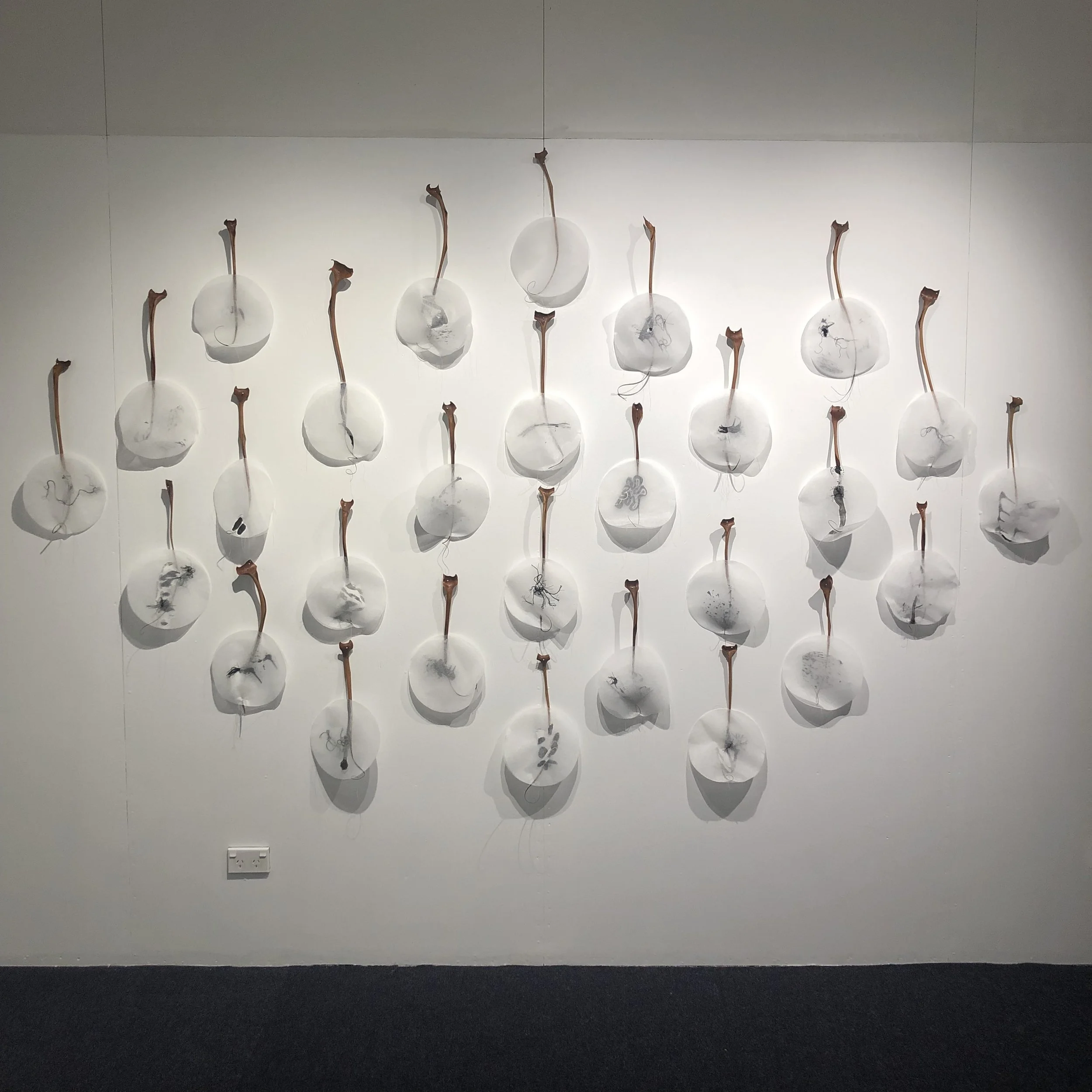 Janet Bathgate | Microphyllum anxietaceae
Award of Excellence 2022