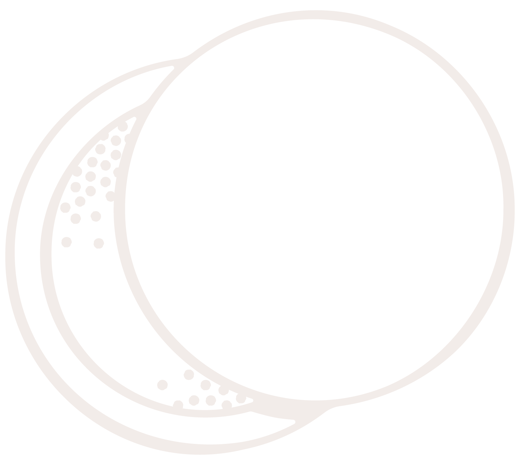 A black and white illustration of a cracked open citrus fruit, such as an orange or lemon, with visible segments inside.