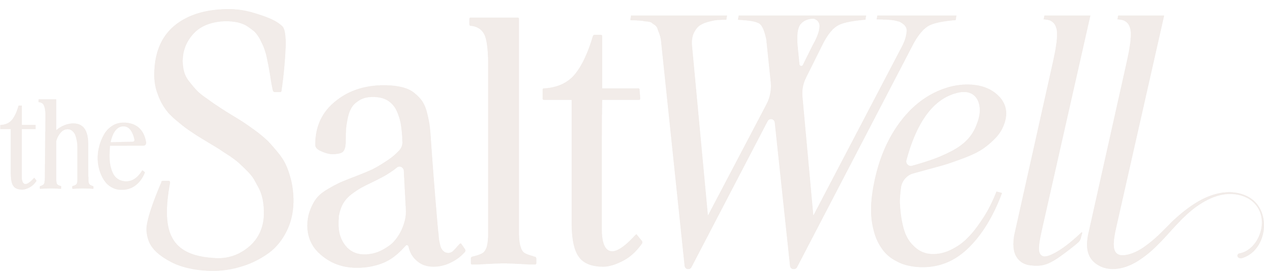 The logo of The Saltwell, with the text in a stylized font.