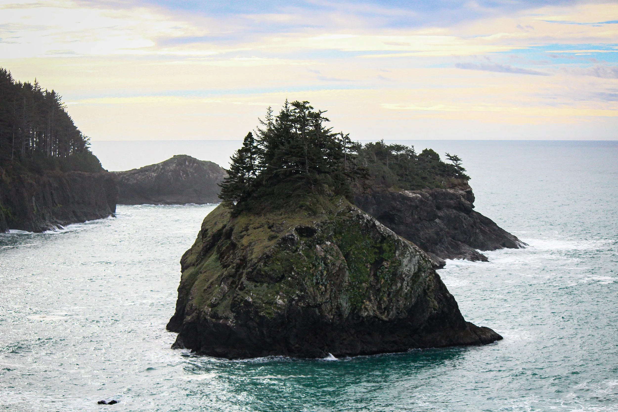 A large rocky island covered with trees in the ocean near a coastline with cliffs and trees, under a partly cloudy sky.