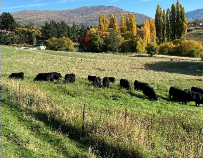 Stories from the Front Line:&nbsp;Donny