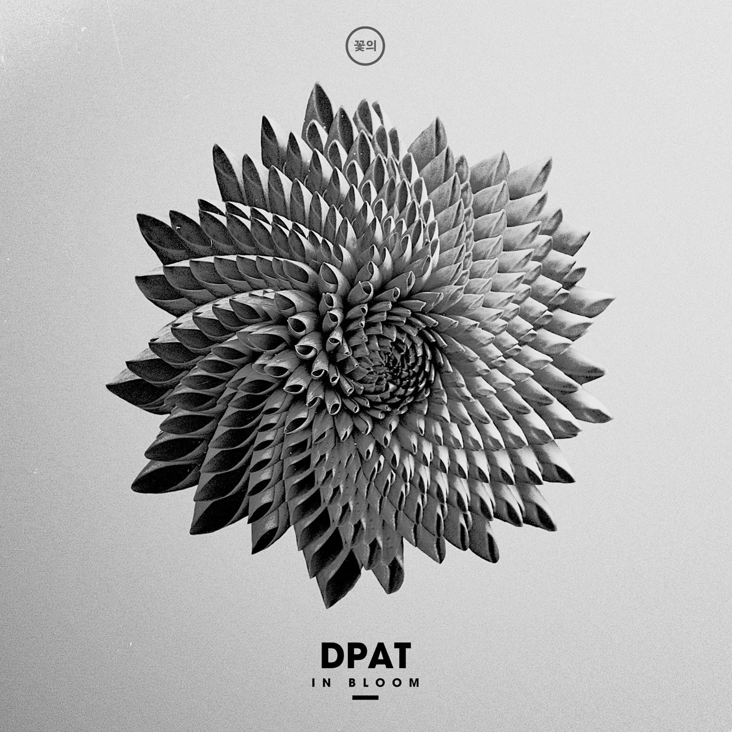 Dpat - In Bloom 12" Vinyl