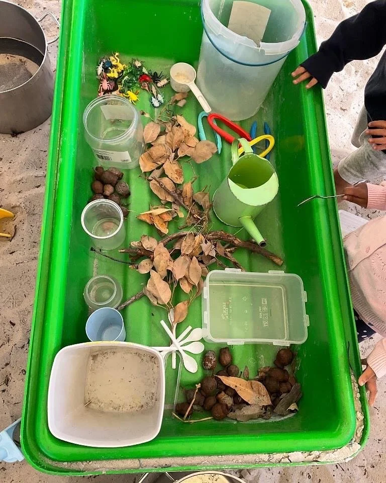 We have been reading Wombat Stew in the Preschool at Teddy Bear Corner. This has led to wombat stew sensory tables, lots of water play and sorting activities!