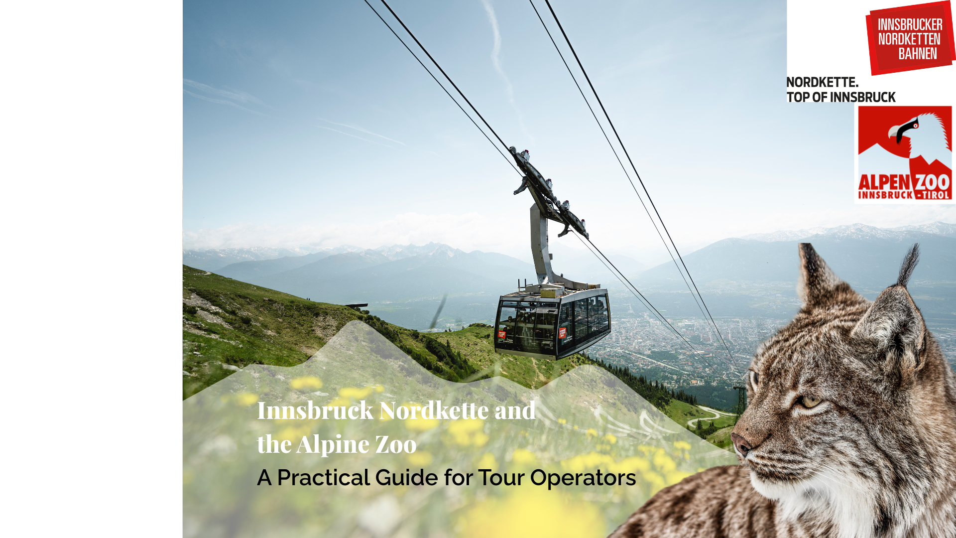 Innsbruck Nordkette and the Alpine Zoo: A Practical Guide for Tour Operators