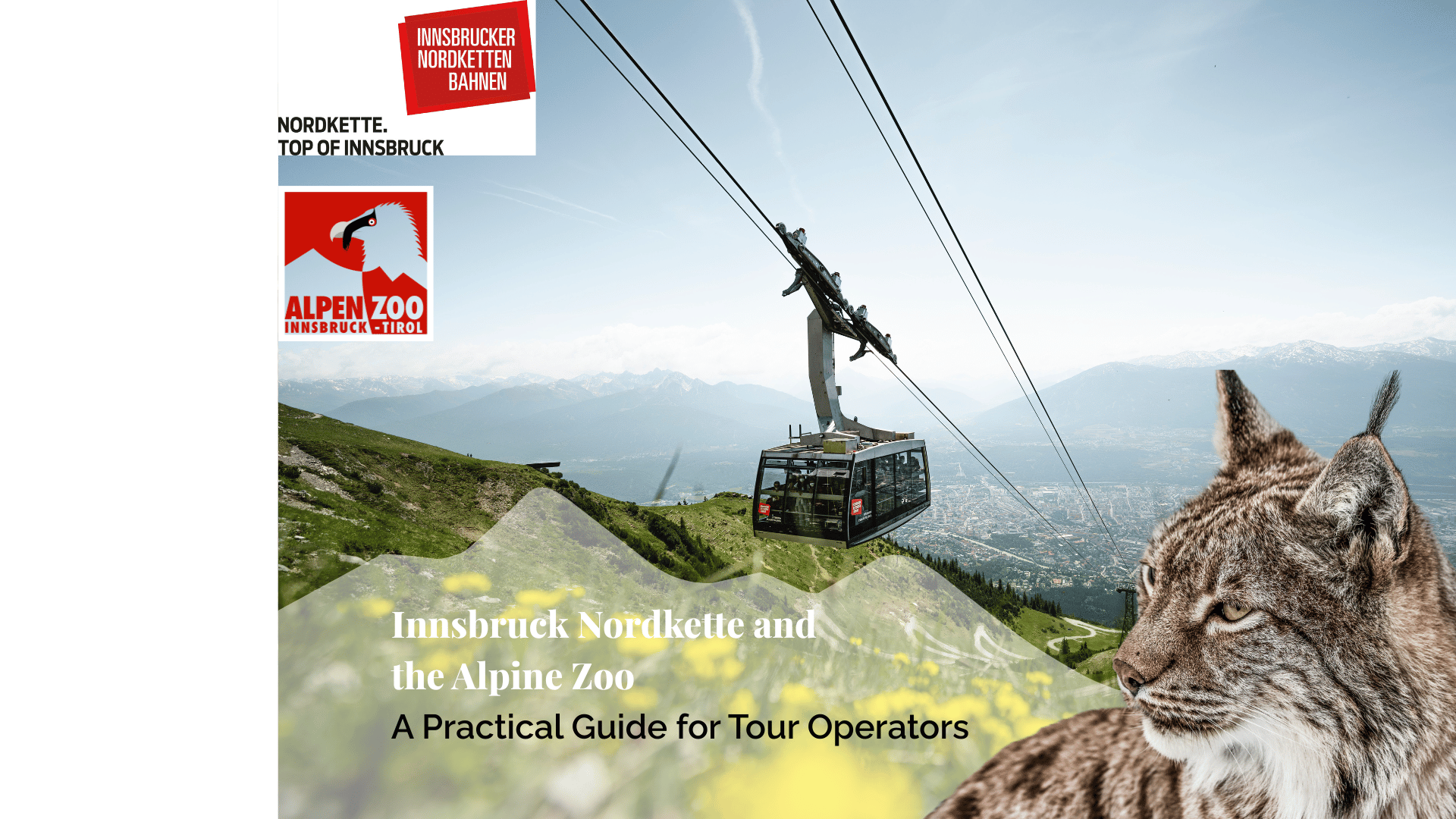 Innsbruck Nordkette and the Alpine Zoo: A Practical Guide for Tour Operators